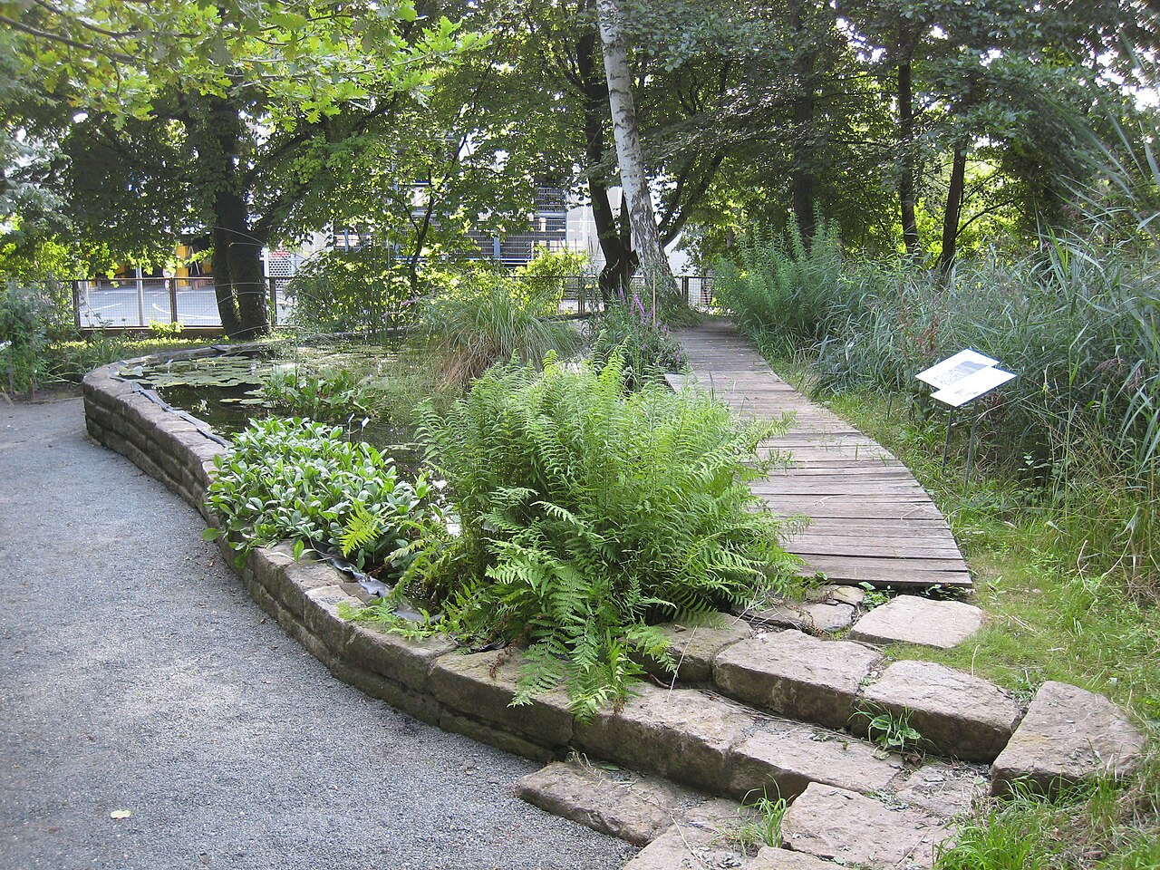 Botanischer Garten